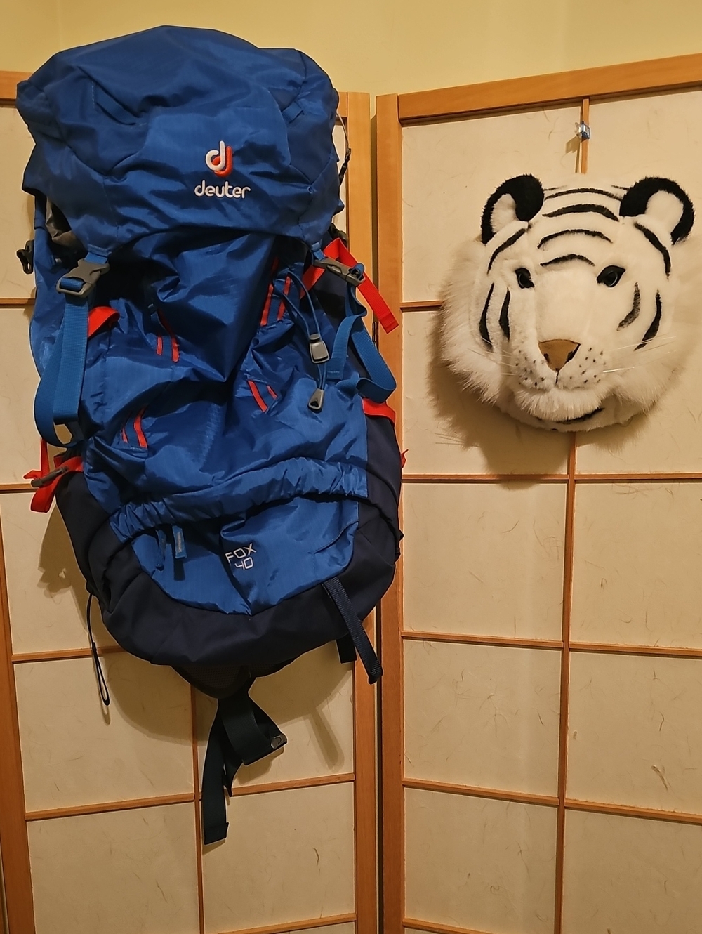 Kids Deuter Blue/Red Backpack - Youth Fox 40